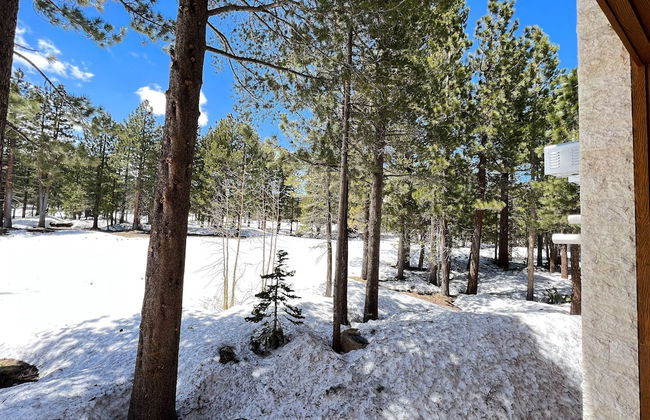 Obsidian Dreaming - On the Sierra Star Golf Course - Foto 50