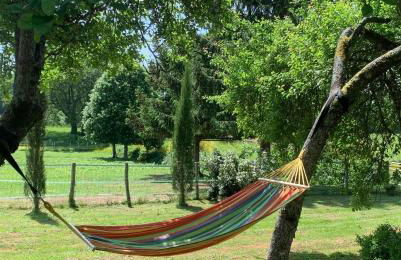 La Petite Ecurie - Foto 4