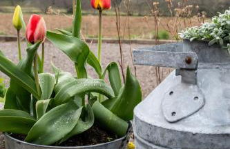 Luxury Pod 3 - Foto 29