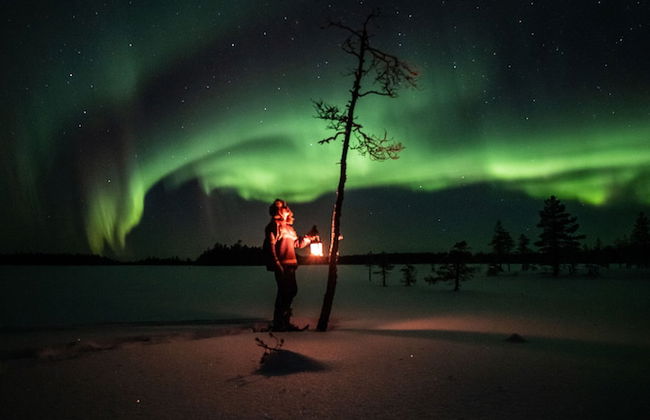 Metsä Kolo - Foto 19