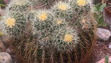 Rifugio Storico sul Mare - Foto 3