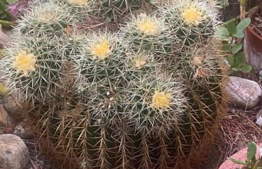 Rifugio Storico sul Mare - Foto 3