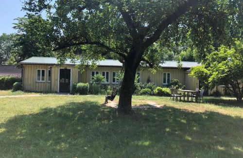 Holiday home on Lake Ruppin - Foto 10