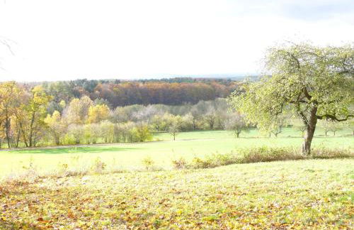 Ferienwohnungen Fischer - Foto 14