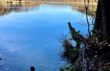 Ferienwohnung Schmied von Almertsham - Foto 46