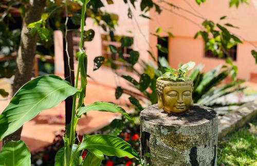 Vale Vijaya bem estar em meio à natureza - Foto 39