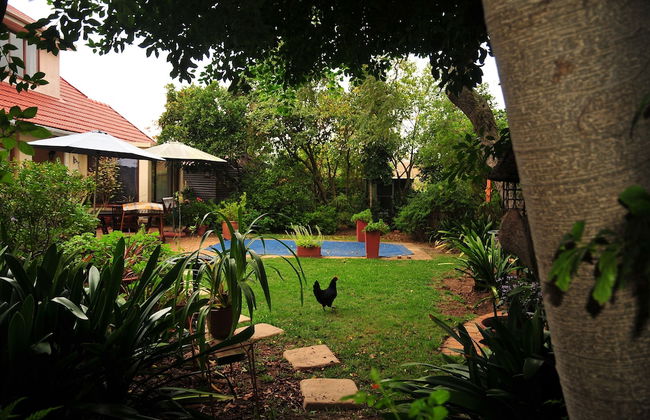 Bradclin House - Foto 53