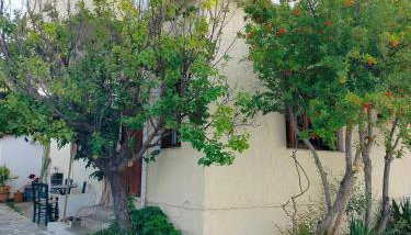 Villa Olga & studios - Foto 4