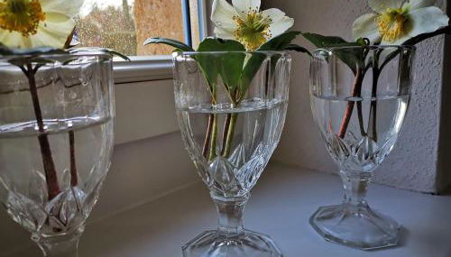 Urlaub im 200 Jahre alten Fachwerkhaus - Foto 4