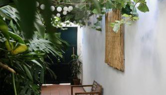 Refúgio com Jardim no Coração de Aveiro - Foto 5, Garden