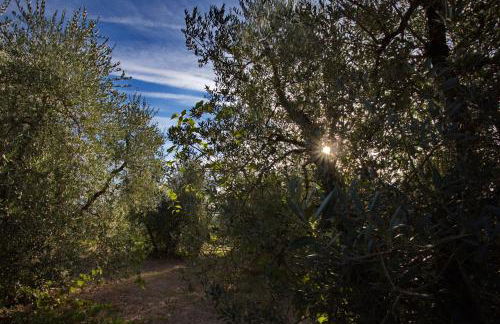 Tenuta Lupinari - Foto 64