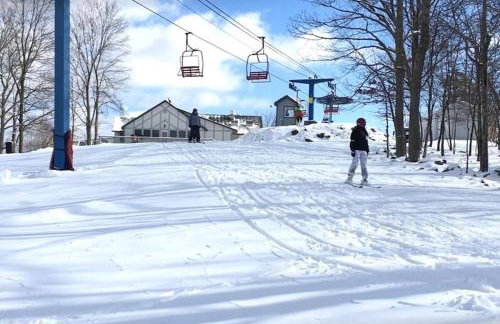 Home in Bushkill Saw Creek Poconos area - Photo 54