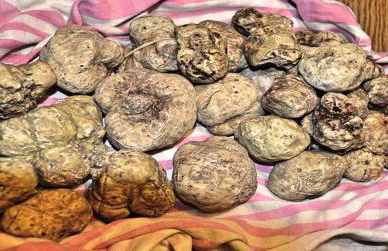 Profumi... - Foto 23