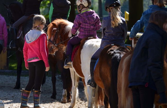 Ponyhof Georgenbruch - Photo 52