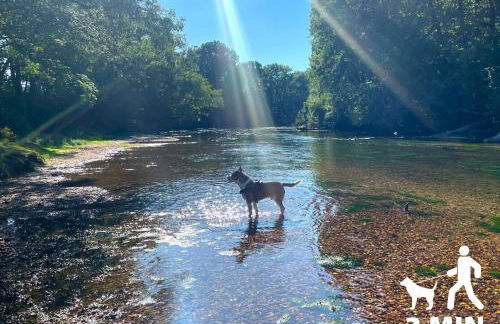 Gîte du Loiret - Photo 23