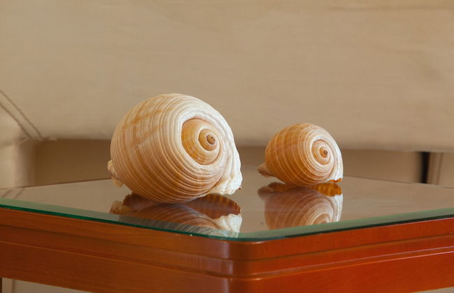 Pavlos Hotel - Photo 41