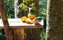 Cabana no Itaimbezinho - Foto 27