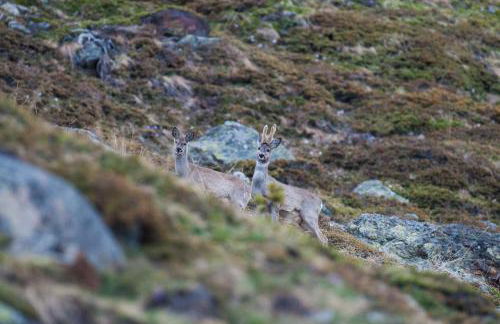 Casa Le Rondini - Photo 72