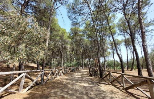 Agriturismo La Stornara - Foto 21