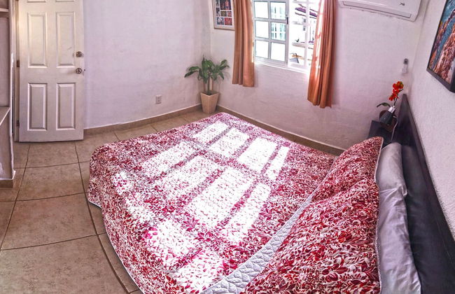 HominngBird - Foto 23