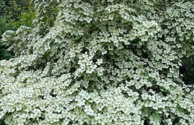 The Cottage, Walworth Demesne - Foto 41