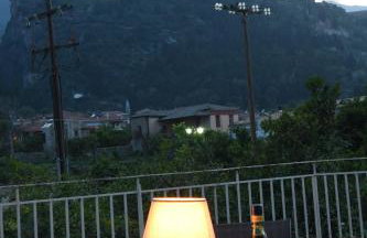 Art Flowers and Culture - Foto 12