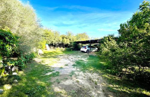 Villa Teresa Apartments - Foto 63