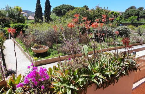 L’Heure Bleue - Foto 10