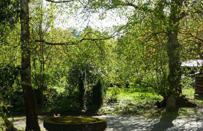 Lindenblatt ' Right - Foto 18