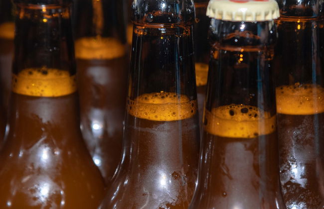 Cata de cerveza artesanal en Peñíscola - Foto 1