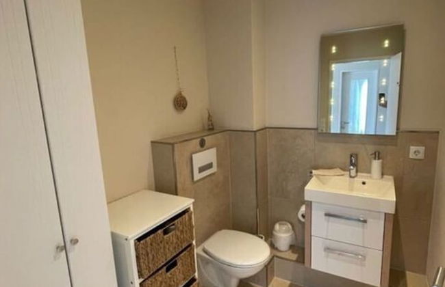 Herring Gull - Foto 11