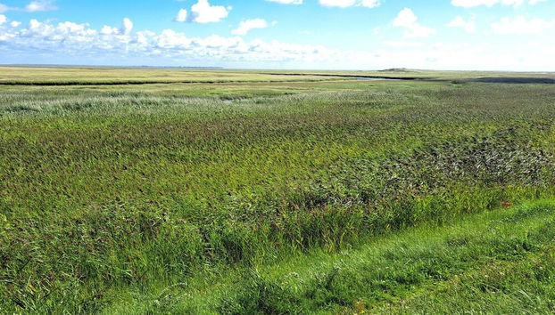 Luxury Retreat With Pool - By Traum Ferienwohnungen - Foto 5