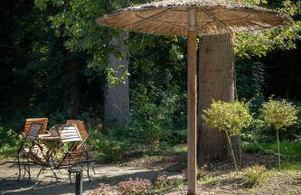 Eiche - Ferienwohnung in Dötlingen mit Waldblick - Foto 18