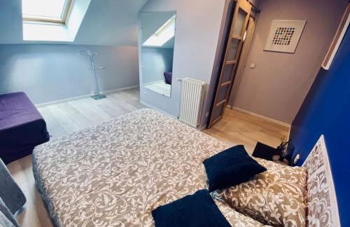 Charmant Duplex en centre-ville - Foto 49