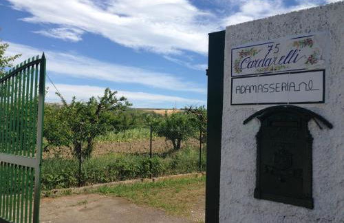 Adamasseria - Foto 69