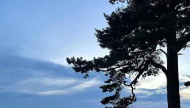 CampOloHel- przyczepa kempingowa - Foto 5