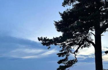 CampOloHel- przyczepa kempingowa - Foto 5