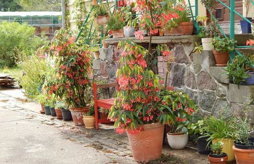 Kornspeicher Himmelpfort - Foto 30