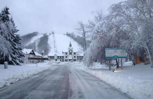 #146 Golf, SkI, Pool Pass Walk to hill - Foto 4