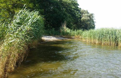 Feriendomizil im Lieper Winkel - Foto 15
