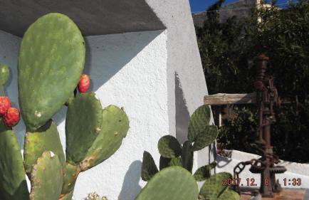 Villa Kalliopi - Foto 67