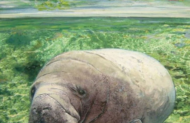 Clean Spacious Waterfront 2bd 2ba Sleeps 8 - Photo 7