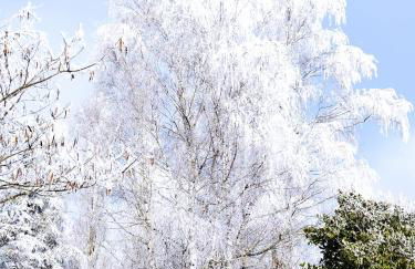 Le logis de LANGE apt Les Aigrettes - Foto 61