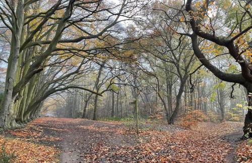 The Old Station, Station House, Snettisham Norfolk - Foto 39