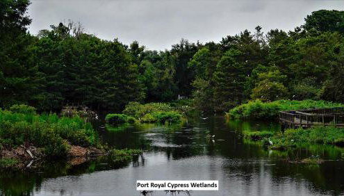 Gritz & Giggles, Where Southern Charm Meets Belly Laughs - Foto 5