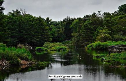 Gritz & Giggles, Where Southern Charm Meets Belly Laughs - Foto 5