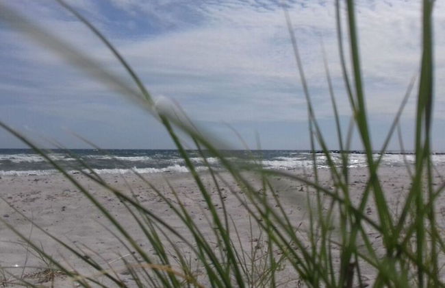 1 in the Maassen Country House - Foto 24