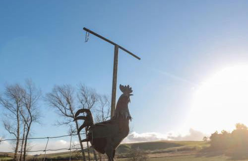 Silverbirch - Foto 14