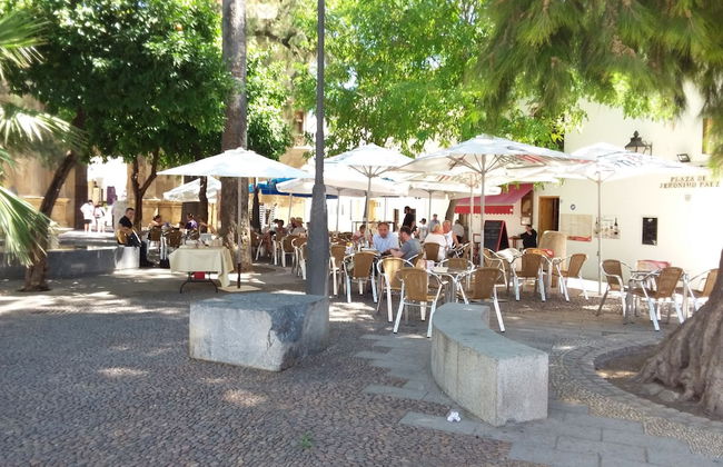 Casa Tipica Cordobesa en la Juderia - Photo 30