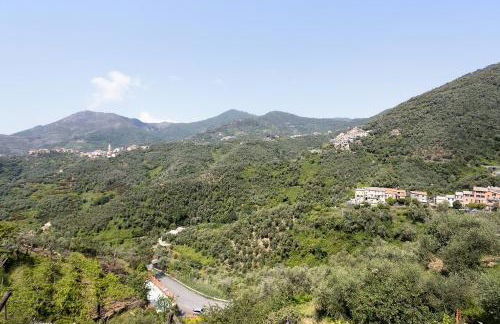 Green Cactus House - Foto 31